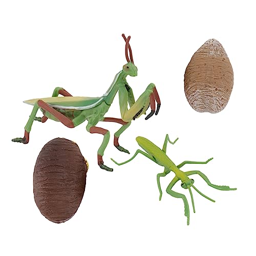 ibasenice 1 Satz Dan Wachstums Zyklus Tiere Figur Mantis-Modell PVC ibasenice 1 Satz Dan Wachstums Zyklus Tiere Figur Mantis-Modell PVC von ibasenice