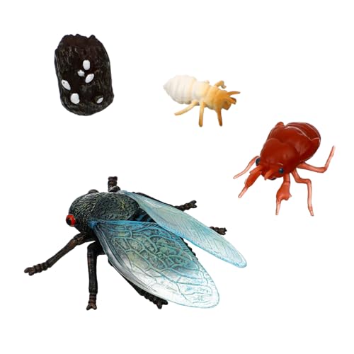 ibasenice Lebenszyklus Figuren Satz für Kinder Realistische Insektenmodelle aus Kunststoff Pädagogisches Lernspielzeug für Unterricht über Insekten als Goodie Tasche Füller von ibasenice