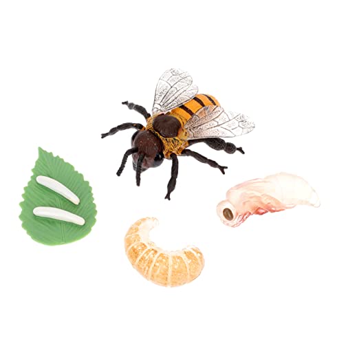 ibasenice 1 Set Bienenwachstumsmodell Für Babys Und Bienenspielzeug Pädagogische Figuren Wachstumszyklus Modell Figurenmodell Lebenszyklus Kognitive Figuren Mini Bienenmodell ibasenice 1 Set Bienenwachstumsmodell Für Babys Und Bienenspielzeug Pädagogische Figuren Wachstumszyklus Modell Figurenmodell Lebenszyklus Kognitive Figuren Mini Bienenmodell von ibasenice
