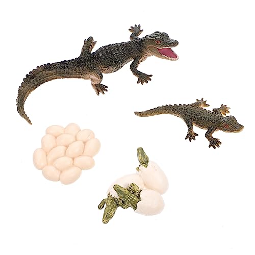 ibasenice 1 Set Wachstumszyklusmodell Tiermodelle Lebenszyklusfigur Wachstumszyklusfigur Lebenszyklusfigur Von Kinderspielzeug Wachstumsmodell Aus Kunststoff ibasenice 1 Set Wachstumszyklusmodell Tiermodelle Lebenszyklusfigur Wachstumszyklusfigur Lebenszyklusfigur Von Kinderspielzeug Wachstumsmodell Aus Kunststoff von ibasenice
