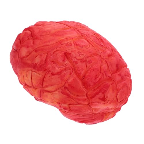 ibasenice 1 Stück Halloween-Simulations-Gehirn Halloween Dekoration Gehirn Gruselige Halloween Requisiten Halloween-Körperteile Requisiten gefälscht Halloween-Requisite Gehirn-Halloween rot ibasenice 1 Stück Halloween-Simulations-Gehirn Halloween Dekoration Gehirn Gruselige Halloween Requisiten Halloween-Körperteile Requisiten gefälscht Halloween-Requisite Gehirn-Halloween rot von ibasenice
