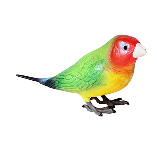 ibasenice 1 Stück Papagei Modell Desktop-Dekoration papagei schmuck Gartenverzierung simuliertes Papageienspielzeug lebendige Vogelfigur Lehrhilfe Vögel basteln Plastik Colorful von ibasenice