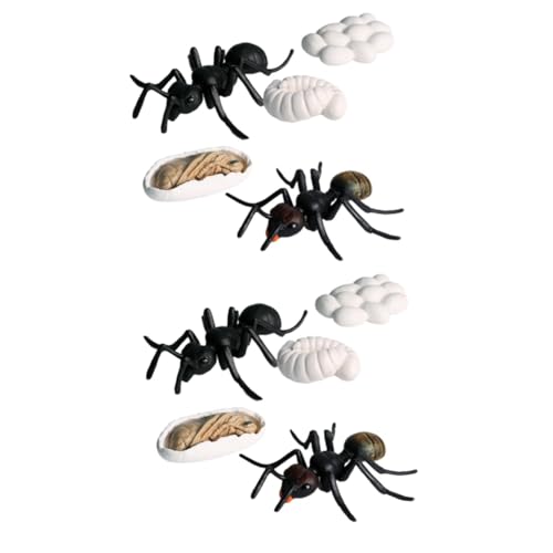 ibasenice 10 Stück Teiliges Ameisenmodell Set aus Kunststoff Pädagogisches Simulationstier für Ant Dekoration Biologisches Lernspielzeug für Zuhause und Kindergarten von ibasenice