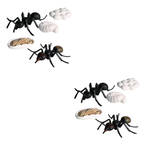 ibasenice 10 Stück Teiliges Ant Modell Set Kunststoff Realistische Simulation Ameisen Wachstumszyklus Lernspielzeug Pädagogisch für Zuhause Kindergarten ibasenice 10 Stück Teiliges Ant Modell Set Kunststoff Realistische Simulation Ameisen Wachstumszyklus Lernspielzeug Pädagogisch für Zuhause Kindergarten von ibasenice