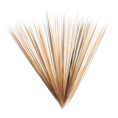ibasenice 100St Simulierte Katzenschnurrhaare bastelbedarf Zappelspielzeug Masse zappeln Röhren Streichboxen -Kit Gold Katze Schnurrhaare Herstellung von Tierteilen Plastik Light Brown ibasenice 100St Simulierte Katzenschnurrhaare bastelbedarf Zappelspielzeug Masse zappeln Röhren Streichboxen -Kit Gold Katze Schnurrhaare Herstellung von Tierteilen Plastik Light Brown von ibasenice