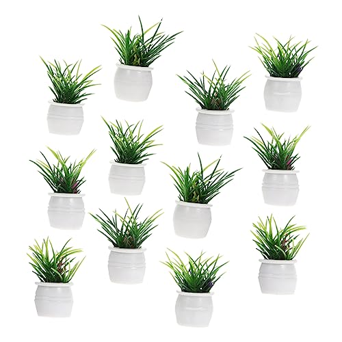 ibasenice 12 Stück Kleine Topfpflanzenornamente Miniatur Künstlich Puppe Eukalyptus Anlage Blumen Fee Fälschung Kleiner Bonsai Mini-topfpflanzen Simulationsbonsai Harz ibasenice 12 Stück Kleine Topfpflanzenornamente Miniatur Künstlich Puppe Eukalyptus Anlage Blumen Fee Fälschung Kleiner Bonsai Mini-topfpflanzen Simulationsbonsai Harz von ibasenice