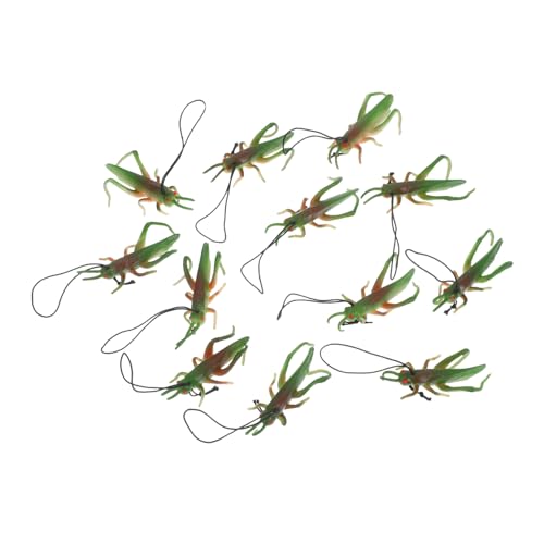 ibasenice 12 Stück Teiliges Realistische Grüne Heuschrecken aus Weichem Kindersicherem Gummi für Insekten Mottopartys Pädagogische Entdeckung Fördert Neugier und Naturwissenschaftliche ibasenice 12 Stück Teiliges Realistische Grüne Heuschrecken aus Weichem Kindersicherem Gummi für Insekten Mottopartys Pädagogische Entdeckung Fördert Neugier und Naturwissenschaftliche von ibasenice