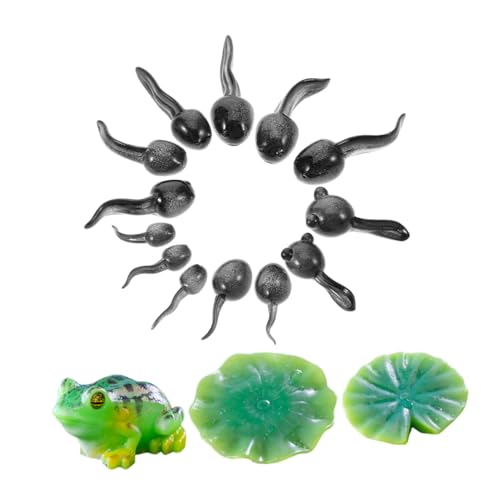ibasenice 16Stücke Mini Frosch Figuren Teiliges Kunstharz Dekorationsset für DIY Terrarium Feengarten und Mooslandschaften Realistische Kaulquappen und Frosch Designs für Kreative ibasenice 16Stücke Mini Frosch Figuren Teiliges Kunstharz Dekorationsset für DIY Terrarium Feengarten und Mooslandschaften Realistische Kaulquappen und Frosch Designs für Kreative von ibasenice