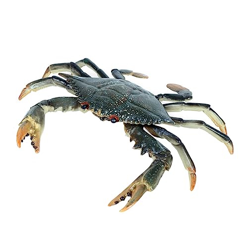 ibasenice 1Stück Realistisches Krabbenmodell aus Lebensechte Dekoration für Aquarien für Gestaltung von Meerestierlandschaften Zufällige Farben ibasenice 1Stück Realistisches Krabbenmodell aus Lebensechte Dekoration für Aquarien für Gestaltung von Meerestierlandschaften Zufällige Farben von ibasenice