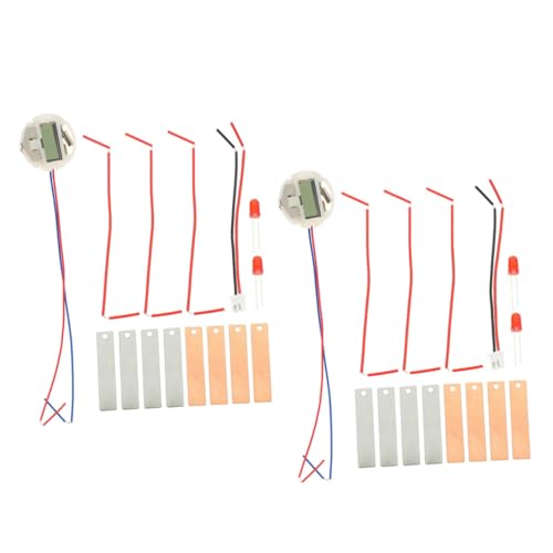 ibasenice 2 Sätze DIY Fruchtbatterie Experiment Kit Metallmaterial Wiederverwendbar Wissenschaftsschüler Lernspielzeug Praktisch Stem Unterricht von ibasenice