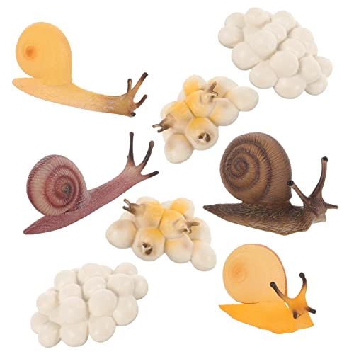ibasenice 2 Sätze Schneckenwachstumszyklusmodell Tierwachstumszyklusmodelle Schnecke Lernspielzeug Für Kleinkinder Simuliertes Schneckenspielzeug Kinderspielzeug Plastik ibasenice 2 Sätze Schneckenwachstumszyklusmodell Tierwachstumszyklusmodelle Schnecke Lernspielzeug Für Kleinkinder Simuliertes Schneckenspielzeug Kinderspielzeug Plastik von ibasenice