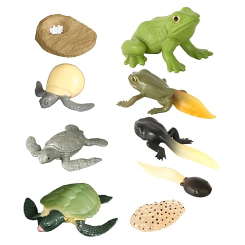 ibasenice Tierwachstumsstadium-Modell-Set Frosch Schildkröte Frösche Dekoration Schildkrötenwachstumsstadium-Modell Kinder-lernspielzeug ibasenice Tierwachstumsstadium-Modell-Set Frosch Schildkröte Frösche Dekoration Schildkrötenwachstumsstadium-Modell Kinder-lernspielzeug von ibasenice