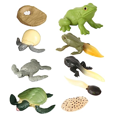 ibasenice 2 Sets Kinder Bauernhof Tiere Spielzeug Schildkröte Frosch Wachstum Zyklus Figuren Für Lebenszyklus Lernen Spielzeug von ibasenice
