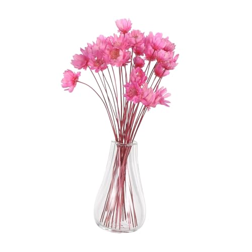 ibasenice 2 Stück Miniatur Glasvase mit Getrockneten Blumen Mini Blumenvase aus Glas Mini-Pflanzen für Puppenhaus DIY Basteln Kleine Dekoration für Miniaturblumenarrangements von ibasenice