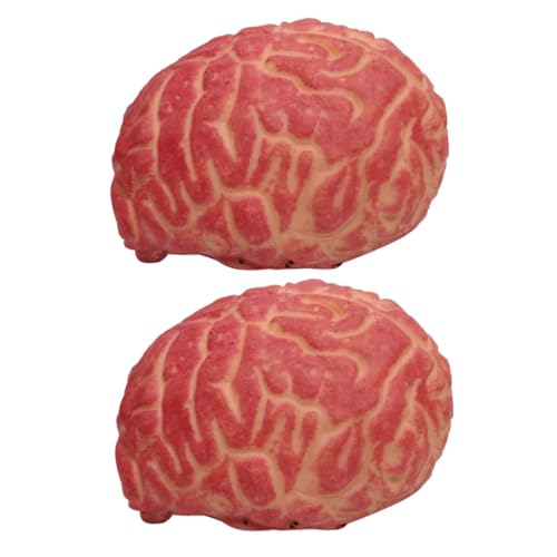ibasenice 2 Stück Simulation Gehirn Prop Halloween Decorations halloweendekorationen Scary Props Halloween Bloody Props Prank Props Halloween-Körperorgan schreckliche Gehirnstütze ibasenice 2 Stück Simulation Gehirn Prop Halloween Decorations halloweendekorationen Scary Props Halloween Bloody Props Prank Props Halloween-Körperorgan schreckliche Gehirnstütze von ibasenice