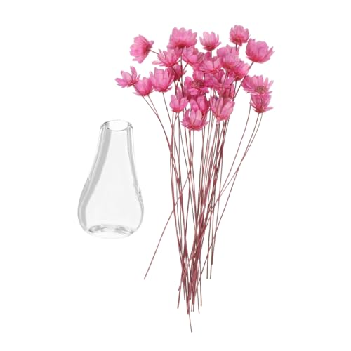 ibasenice 2 Stück Teiliges Miniatur-blumenvasen Transparentem Glas mit Getrockneten Blumen Platzsparend für Puppenhaus-dekor DIY Elegantes Miniatur-Pflanzen-Arrangement von ibasenice