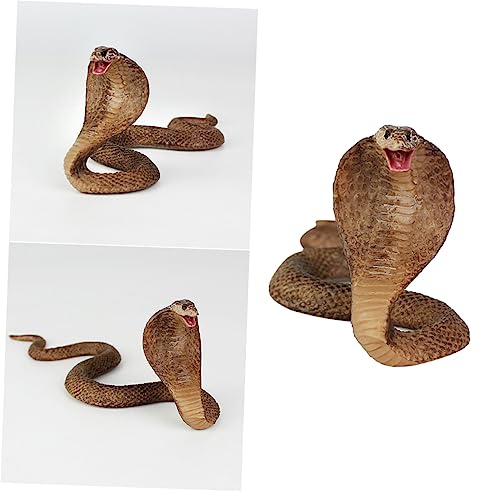 ibasenice 2St Kinderspielzeug Modelle Spielzeuge Modell Schlangenfigur Schlangenmodell Ornament Simulation Schlangenmodell fest künstliche Schlange von ibasenice