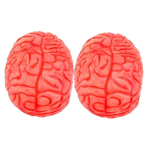 ibasenice 2stücke Gefälschte Menschliche Gehirne Halloween-Requisiten Für Gruselige Körperteile Deko Für Partys Und Zuhause Für Scherze Und Schaurige Atmosphäre ibasenice 2stücke Gefälschte Menschliche Gehirne Halloween-Requisiten Für Gruselige Körperteile Deko Für Partys Und Zuhause Für Scherze Und Schaurige Atmosphäre von ibasenice