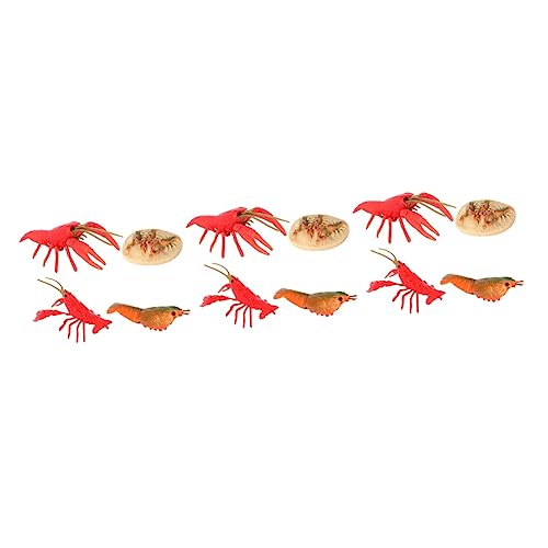 ibasenice 3 Sätze Wachstums Zyklus Flusskrebs-lebenszyklus Lustiges -evolutionsmodell Lebenszyklus Von Krebsen Zyklus Biologische Figur Plastik Kind Puzzle Geschenktasche von ibasenice