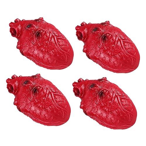 ibasenice 4 Stück Halloween Horror Menschenorgane Simuliertes Herz Menschliches Organmodell Partygeschenke Für Halloween Foto Requisiten Halloween Aufkleber Halloween von ibasenice