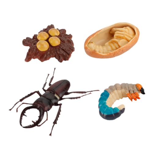ibasenice 4 Stück Insektenmodell Kinderspielzeug Realistisches Insektenspielzeug Insektendekor Lebenszyklus- Für Abs Black ibasenice 4 Stück Insektenmodell Kinderspielzeug Realistisches Insektenspielzeug Insektendekor Lebenszyklus- Für Abs Black von ibasenice