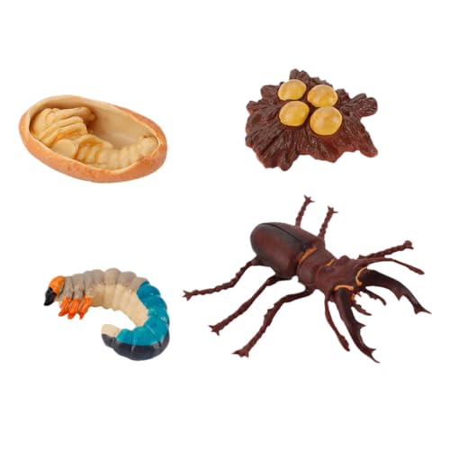ibasenice 4 Stück Insektenwachstumszyklusmodell Insektendekoration Kinderspielzeug Für Den Lebenszyklus Von Insekten Insektenspielzeugmodell Coffee Abs von ibasenice