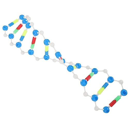 ibasenice 4 Stück Komponenten des DNA-doppelhelix-modells Selbstbaumodell Molekularer Modellbausatz Bildungs-DNA-Modell Klassenunterricht Pädagogisches Lehrmodell Gen Plastik Lehrinstrument von ibasenice