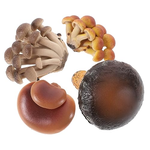 ibasenice 4 Stück Teiliges Pilzwachstum Spielset PVC Lernmodelle Realistische Wachstumszyklus Pädagogische Spielzeuge Lernspielzeug Biologische Lernhilfen von ibasenice