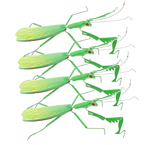 ibasenice 4 Stück Teiliges Realistisch Gestaltetes Gottesanbeterin Modell Langlebige Simulation Insektenfigur Pädagogisches für Naturgetreue Gartendekoration und Lernmodell ibasenice 4 Stück Teiliges Realistisch Gestaltetes Gottesanbeterin Modell Langlebige Simulation Insektenfigur Pädagogisches für Naturgetreue Gartendekoration und Lernmodell von ibasenice