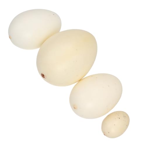 ibasenice 4 Stücke in 1 Set Lebensechte Simulation Eier Vogel Eier Modell Spielzeug Für Jungen Und Mädchen Vorhanden ibasenice 4 Stücke in 1 Set Lebensechte Simulation Eier Vogel Eier Modell Spielzeug Für Jungen Und Mädchen Vorhanden von ibasenice