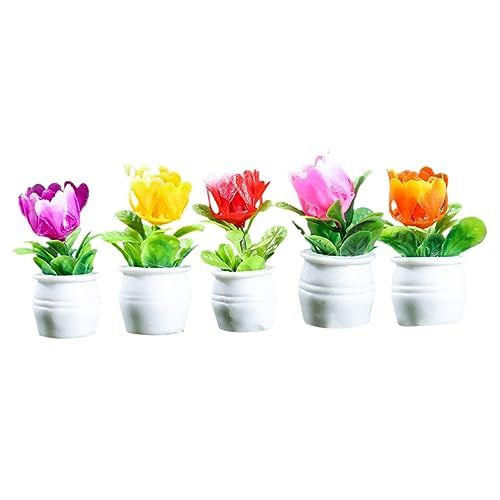 ibasenice 5 Stück Blumen Kunstpflanzen Dekoration Kleine Häuser Kleines Blumentopf Puppenhaus Zubehör Kleines Kleine Häuser Miniaturen Garten Mini Blumentopf Kleines ibasenice 5 Stück Blumen Kunstpflanzen Dekoration Kleine Häuser Kleines Blumentopf Puppenhaus Zubehör Kleines Kleine Häuser Miniaturen Garten Mini Blumentopf Kleines von ibasenice