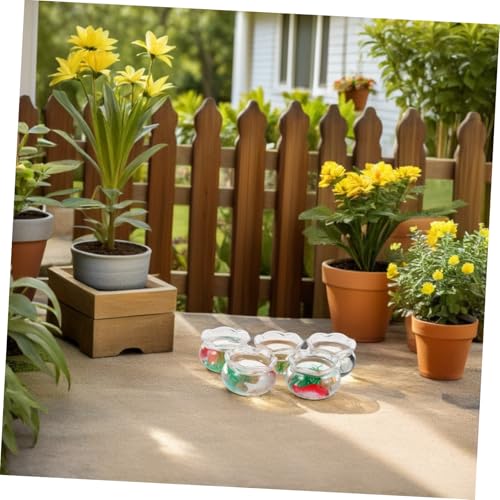 ibasenice 5 Stück Teiliges Miniatur Fischglas Runder Kunststoff-dekofischbehälter mit Realistischen Pflanzen Kleiner Desktop Aquarium für Puppenhaus Miniatur Fischteich und von ibasenice