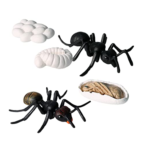 ibasenice 5Stücke Teiliges Set Künstliche Ameisen Modell Realistische Tierfiguren Für Lernspielzeug Zur Darstellung des Ameisenwachstums Schwarz ibasenice 5Stücke Teiliges Set Künstliche Ameisen Modell Realistische Tierfiguren Für Lernspielzeug Zur Darstellung des Ameisenwachstums Schwarz von ibasenice