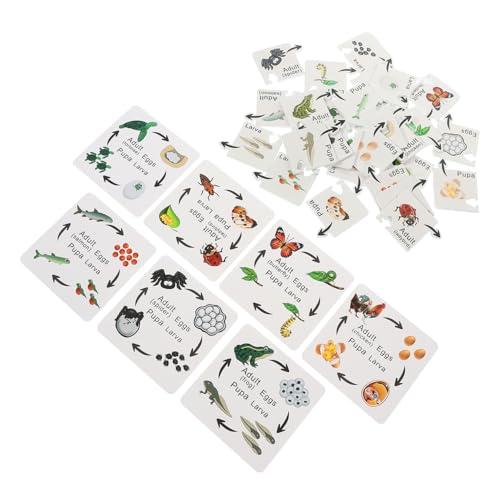 ibasenice Puzzle-Set Zum Lebenszyklus Von Tieren 7-teilig Für Jungen Und Mädchen Lernspielzeug Für Kleinkinder Holz-puzzlekarten von ibasenice