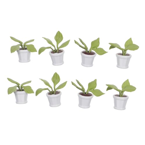 ibasenice 8 Stück Miniatur Topfpflanzenszene Miniatur Topfpflanzenmodell Hof Ornamente Ton Topfpflanzen Mini Topfpflanzen Simulationspflanze Bonsai Mini Szene Basteln von ibasenice