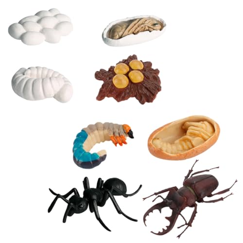 ibasenice 8 Stück Teiliges Ameisen lebenszyklus Modellset Detailreiche Kinderlernspielzeuge Realistische Arbeiterameisen Figuren für Bildungszwecke Anschauliche Naturdekoration Fördert ibasenice 8 Stück Teiliges Ameisen lebenszyklus Modellset Detailreiche Kinderlernspielzeuge Realistische Arbeiterameisen Figuren für Bildungszwecke Anschauliche Naturdekoration Fördert von ibasenice