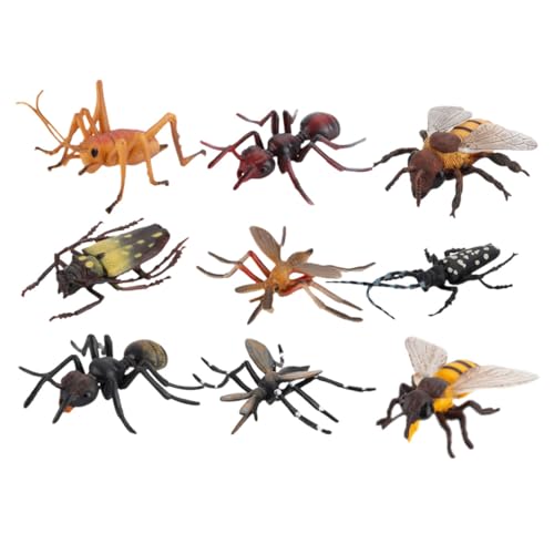 ibasenice 9 Stück Modell Der Insektenwelt Unterhaltsame Lehrmittel Simulationsinsekten Lustige Insektenmodelle Lebensechte Figuren Realistische Insektenfiguren Abs ibasenice 9 Stück Modell Der Insektenwelt Unterhaltsame Lehrmittel Simulationsinsekten Lustige Insektenmodelle Lebensechte Figuren Realistische Insektenfiguren Abs von ibasenice