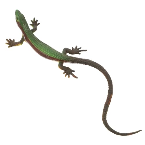 ibasenice Fake Echsenmodell Reptilienmodell Figur Echsenfigur Dekoration ibasenice Fake Echsenmodell Reptilienmodell Figur Echsenfigur Dekoration von ibasenice
