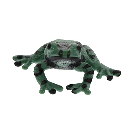 ibasenice Frosch-Modell kindererziehung aufklärung verkleidung kalanchoe geburtstagsmitgebsl Decor Figur Froschmodell Amphibie deko Bildungsbedarf Mini-Modell Plastik Green ibasenice Frosch-Modell kindererziehung aufklärung verkleidung kalanchoe geburtstagsmitgebsl Decor Figur Froschmodell Amphibie deko Bildungsbedarf Mini-Modell Plastik Green von ibasenice