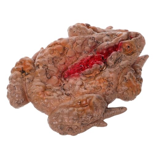 ibasenice Halloween Scary Dekoration Streich Prop Tablett Mahlzeit Box Flecken Simulation Für Parteien ibasenice Halloween Scary Dekoration Streich Prop Tablett Mahlzeit Box Flecken Simulation Für Parteien von ibasenice