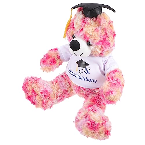 ibasenice Kinderspielzeug Bärengestopfte Tiere Graduierung Plüsch Bärenpuppe gefüllte Bärenplüschpuppe Studentenabschlussgeschenk Plüschtier bequemes Stofftier Loop-Vlies von ibasenice