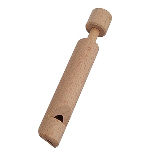 ibasenice Kinderzeichnung Piccolo Kinderspielzeug Musikspielzeug Instrumente Minispielzeug Kinderflöte DIY Push Pull Musikspielzeug Instrument Spielzeugflöte Für Holz von ibasenice