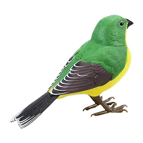 ibasenice Kunststoff Vogel Simulation Vögel Ornament Vogel Figur Papagei Kunststoff ibasenice Kunststoff Vogel Simulation Vögel Ornament Vogel Figur Papagei Kunststoff von ibasenice