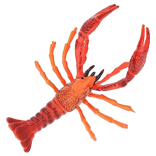 ibasenice Lobster Modell Miniatur Hummer Figur Dekoration Für Realistische Krebse Für Spiel Und Lernen Ideal Als Oder Für Die Streudeko ibasenice Lobster Modell Miniatur Hummer Figur Dekoration Für Realistische Krebse Für Spiel Und Lernen Ideal Als Oder Für Die Streudeko von ibasenice