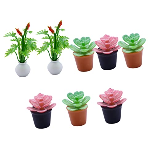 ibasenice Sukkulenten Topfpflanzen Miniatur Potted Pflanzen Set Für Puppenhaus Künstliche Bonsai Pflanzen Für Mikrolandschaft Dekoration Und Pink Perfekte Mini Garten Deko Für Das Puppenhaus ibasenice Sukkulenten Topfpflanzen Miniatur Potted Pflanzen Set Für Puppenhaus Künstliche Bonsai Pflanzen Für Mikrolandschaft Dekoration Und Pink Perfekte Mini Garten Deko Für Das Puppenhaus von ibasenice