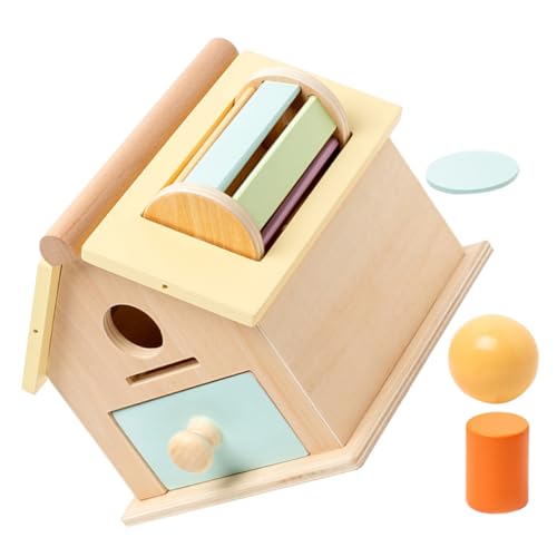 ibasenice Montessori Holzspielzeug Bunter Motorischer Ball und Münzbox für Kleinkinder Sensorisches Lernspielzeug mit Glatten Kanten Feinmotorik und Hand Auge Koordination von ibasenice