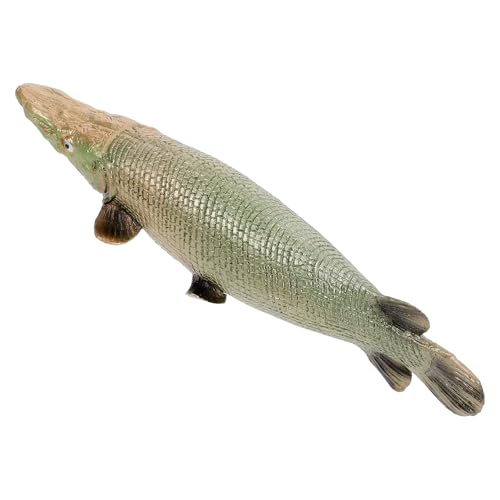 ibasenice Realistisches Modell des Alligatorhechtes für Lernspielzeug für Home Party Küche und Schaufenster Dekoration ibasenice Realistisches Modell des Alligatorhechtes für Lernspielzeug für Home Party Küche und Schaufenster Dekoration von ibasenice