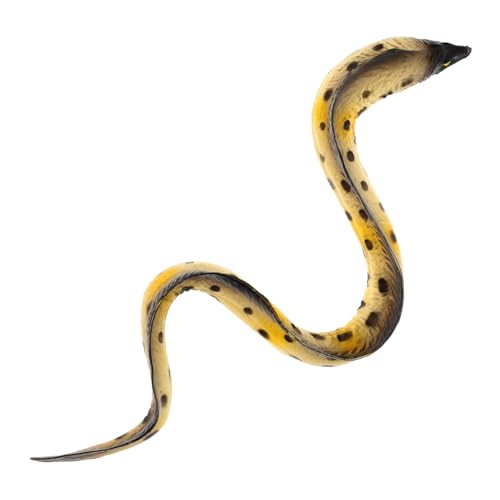 ibasenice Realistisches Moränen EEL Modell Hochsimuliertes Meereslebewesen Für Lernspielzeug Zur Kognitiven Entwicklung Meerestiere Figurine ibasenice Realistisches Moränen EEL Modell Hochsimuliertes Meereslebewesen Für Lernspielzeug Zur Kognitiven Entwicklung Meerestiere Figurine von ibasenice