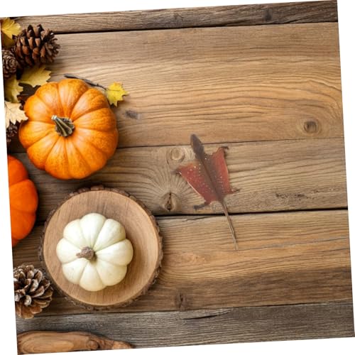 ibasenice Realistisches Plastik-Gecko-Modell für Halloween Dekoration Detailgetreue Reptilienfigur aus Kunststoff Leicht und Langlebig für Indoor-dekor Scherzartikel und Lernzwecke ibasenice Realistisches Plastik-Gecko-Modell für Halloween Dekoration Detailgetreue Reptilienfigur aus Kunststoff Leicht und Langlebig für Indoor-dekor Scherzartikel und Lernzwecke von ibasenice