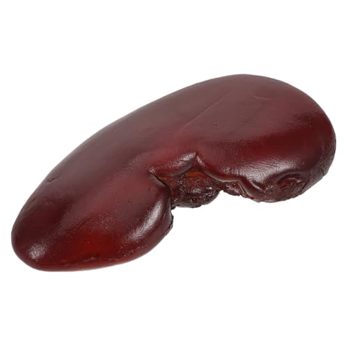 ibasenice Realistisches Schweine-nierenmodell Halloween Requisit für Cosplay und Grusel-Dekorationen Detailgetreues Fake Organ für Partys Streiche und Themenrestaurants von ibasenice